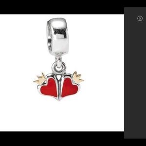 COPY - Pandora two tone charm